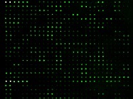 High-Density Arrays for Multiplex Protein Detection