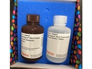 Great ECL Reagent to Detect Proteins