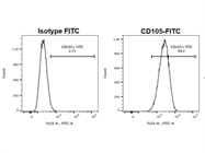 Reliable Anti-human CD105-FITC Flow Antibody