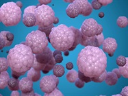 Selecting and Generating 3D Cell-Based Models