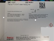 Excellent Protein Estimation Kit Based on BCA Assay