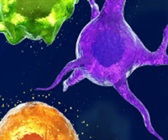 Propel your NF-L Research with the Simple Plex automated immunoassay