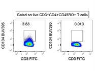 Weak Anti-human CD134