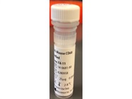 Consistent Immunostaining Results