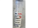Good Antibody for MPO
