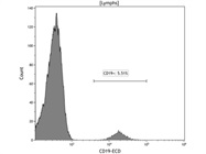 Consistent CD19 for all B Cells