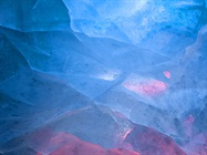 Advice for Successful Cryopreservation