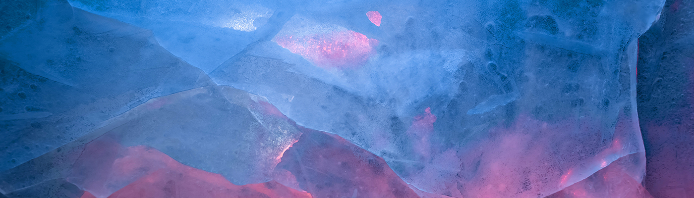  Advice for Successful Cryopreservation