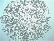 Gastrointestinal Patient-Derived Organoid Biobank from MilliporeSigma