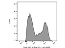 Great Antibody for Staining Thymic Aire