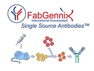 30% off custom antibody production- FabGennix high quality antibodies