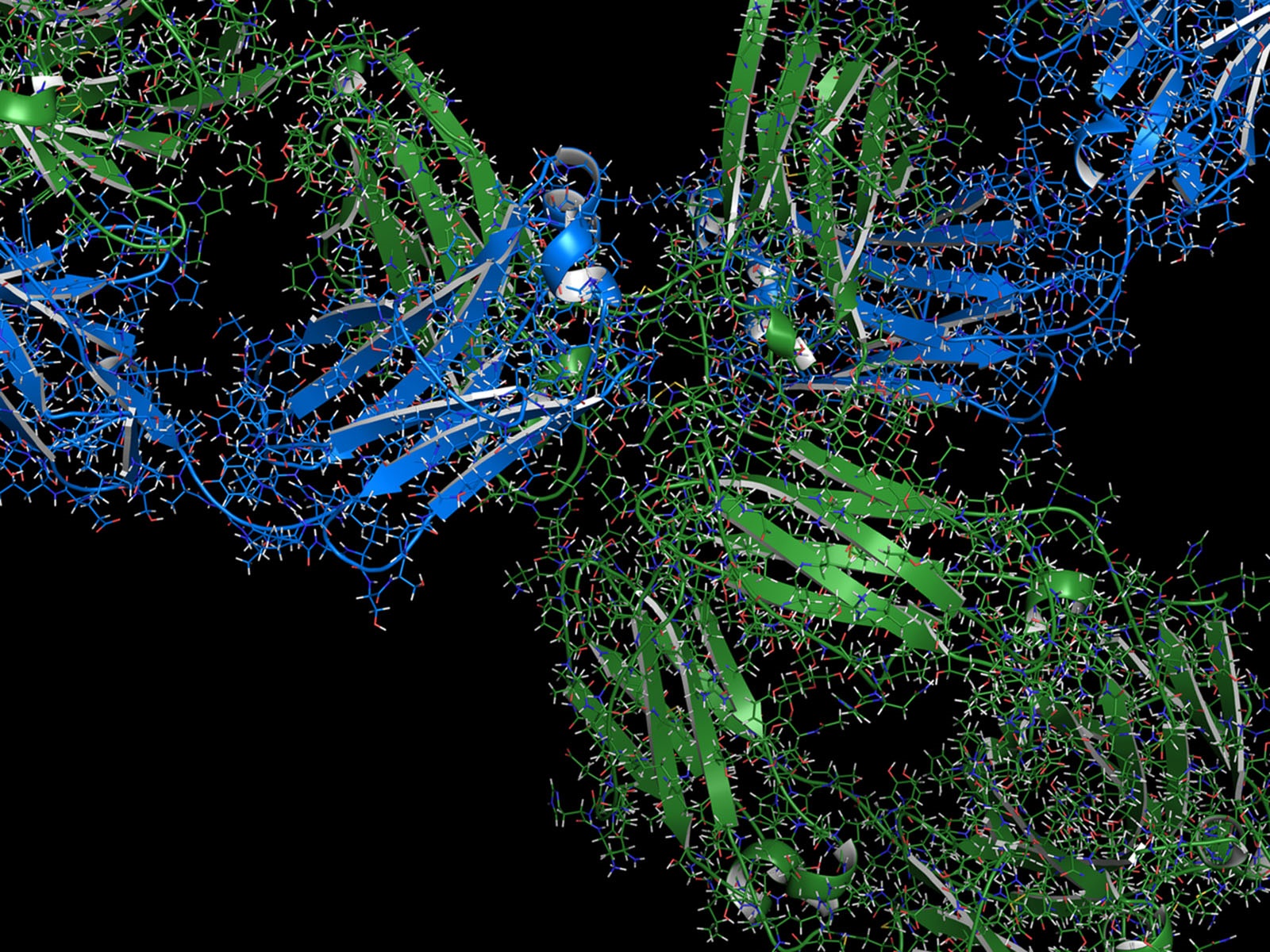  Immune Checkpoints and Drug Discovery