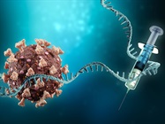 Infographic: mRNA Vaccines at a Glance