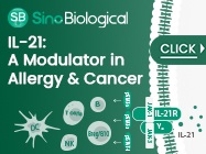 IL-21: A Modulator in Allergy, Cancer, and Viral Infections