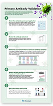 Primary Antibody Validation