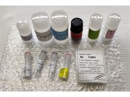 A New and Reliable ELISA for Rat FABP4