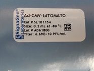 Red Fluorescing Ad-CMV-tdTOMATO Virus for Stable Transfection and Cell Imaging