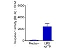 Caspase-Glo® 1 Inflammasome Assay Kit Works Well