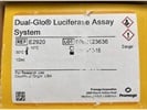Great and Efficient Luciferase System
