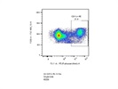 Brightly Stained Anti-Human CD11c-PE Antibody