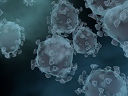 Epigenetics in the Fight against COVID-19