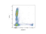 Anti-CD8 BV711 Gives Great Results