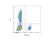 Anti-CD19 FITC Gives Reliable Results
