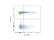 Anti-PD-1 BV421 Works Great