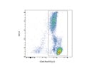 Anti-CD45 PerCP/Cy5.5 Works Well