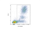 Reliable Staining of Peripheral Blood With Anti-CD11b BV605