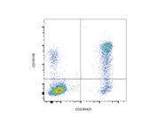 Anti-CD197 PE Gives Beautiful Results