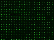 Pushing the Limits of Multianalyte Immunodetection