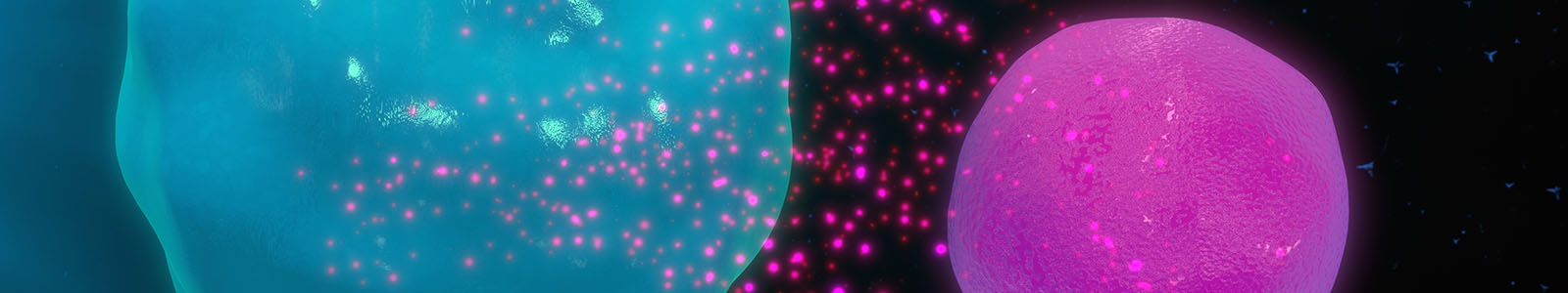  Checkpoint Molecule Profiling in Tumor Cell Lines, Immune Cell Lines and Applications