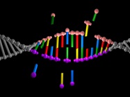 CRISPR Engineered Cells Enable Variant Disease Modeling