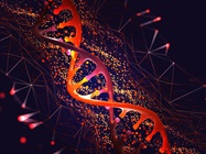 Predictive Modeling Meets Automation