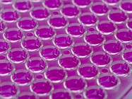 Streamline Your Workflow with the VANTAstar Microplate Reader