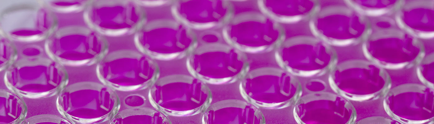  Streamline Your Workflow with the VANTAstar Microplate Reader