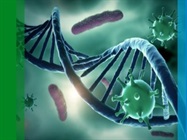 The Importance of Sample Quality Control for Viral Detection and Sequencing