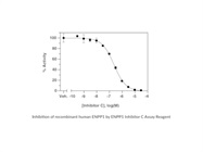 ENPP1 Fluorescent Inhibitor Screening Assay Kit