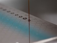 New Approaches to Glycan Analysis