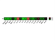 Good Experience With Rat Cytokine Array / Chemokine Array 27 Plex (RD27)