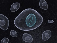 Guide to ctDNA Use in Molecular Diagnostics
