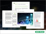 Flow Cytometry Workbook  Plan and improve your experiments