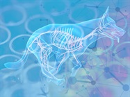 Expanding Possibilities in Animal Health