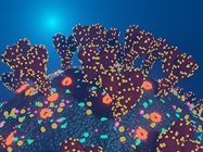 New Technologies for Vaccine Development