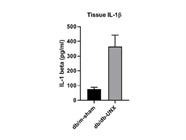 Mouse IL-1 Beta ELISA Kit Working Promptly