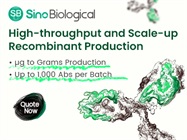 Recombinant Antibody Expression Services