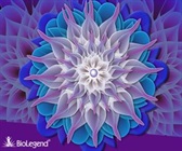 A New Violet Laser Option