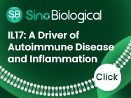 IL17: A Driver of Autoimmune Disease and Inflammation