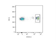 Great CD4 Antibody